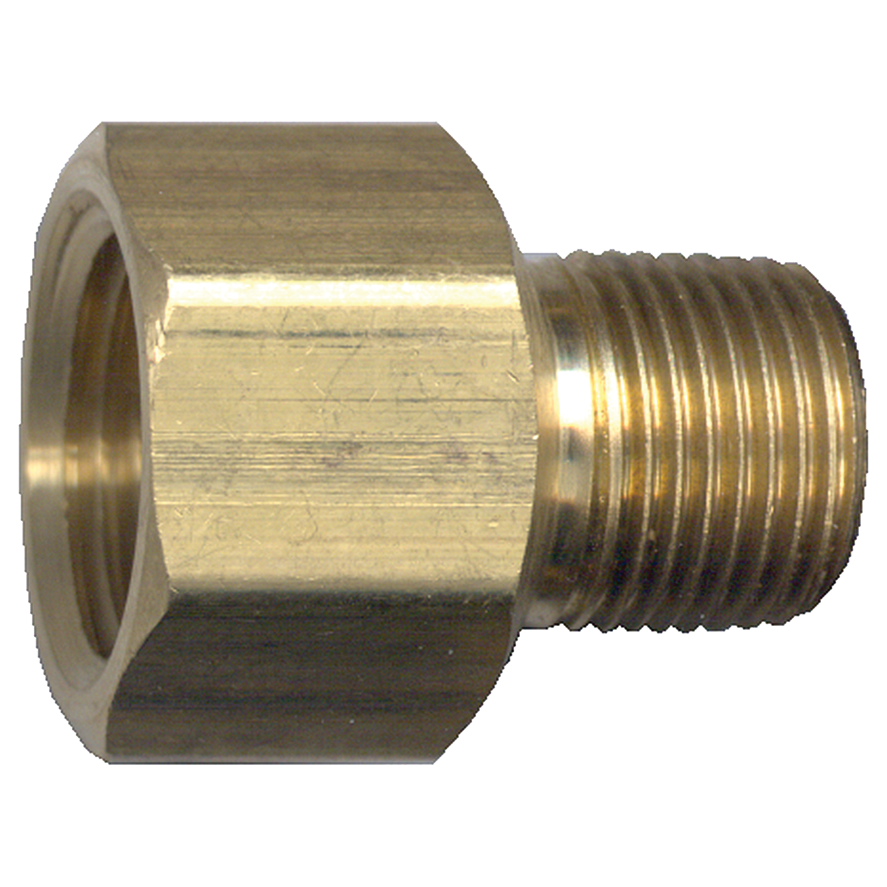 MALE PIPE CONNECTOR C/W CHECK 1