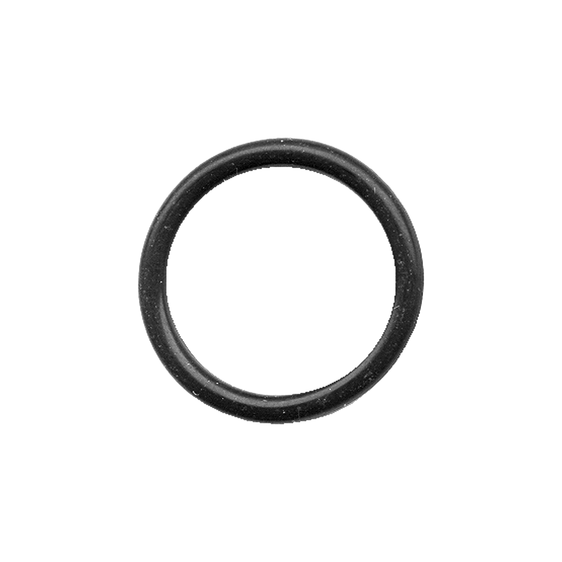 BUNA-N O-RING - .301 Diameter