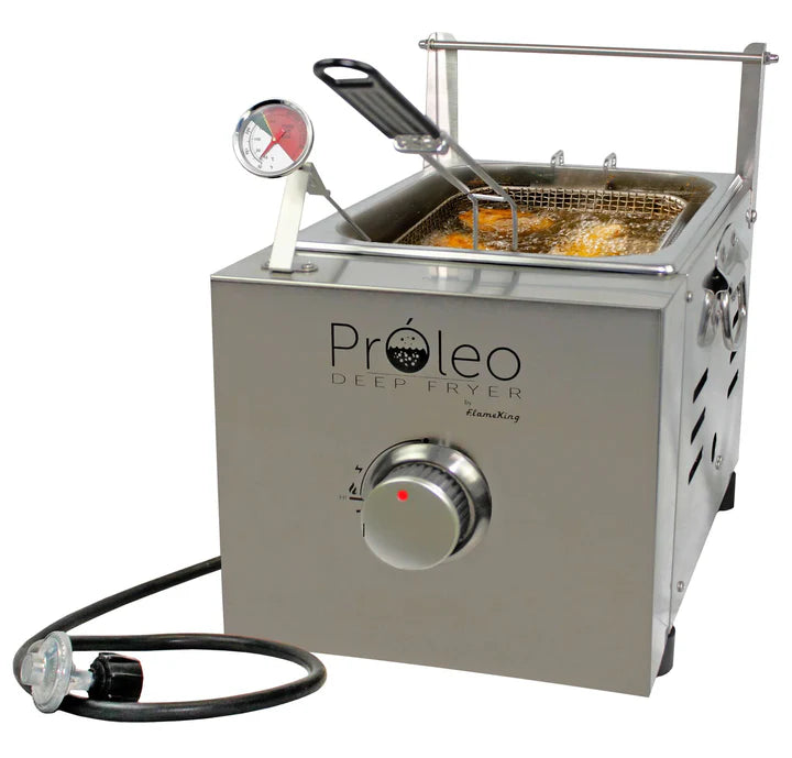 Portable Deep Fryer